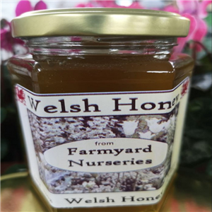 Farmyard Nurseries Honey